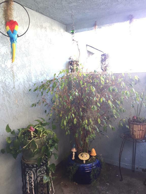 Pacific Beach Butterfly Suite Сан-Диего Экстерьер фото